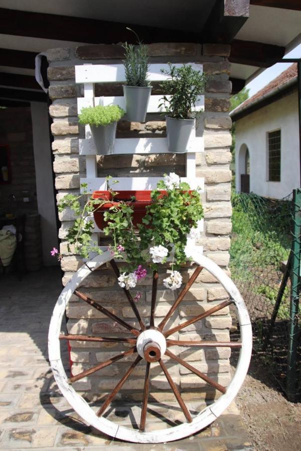 Palic Vila Masa Pr Emina Stipancevic Zewnętrze zdjęcie