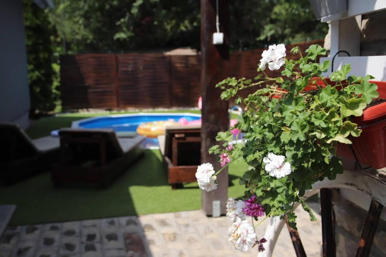 Palic Vila Masa Pr Emina Stipancevic Zewnętrze zdjęcie