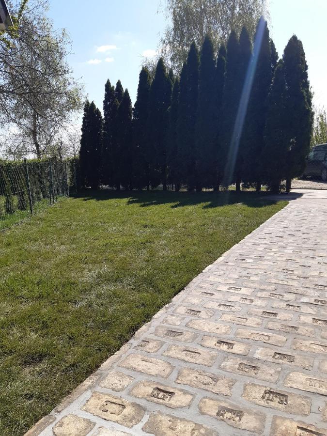 Palic Vila Masa Pr Emina Stipancevic Zewnętrze zdjęcie